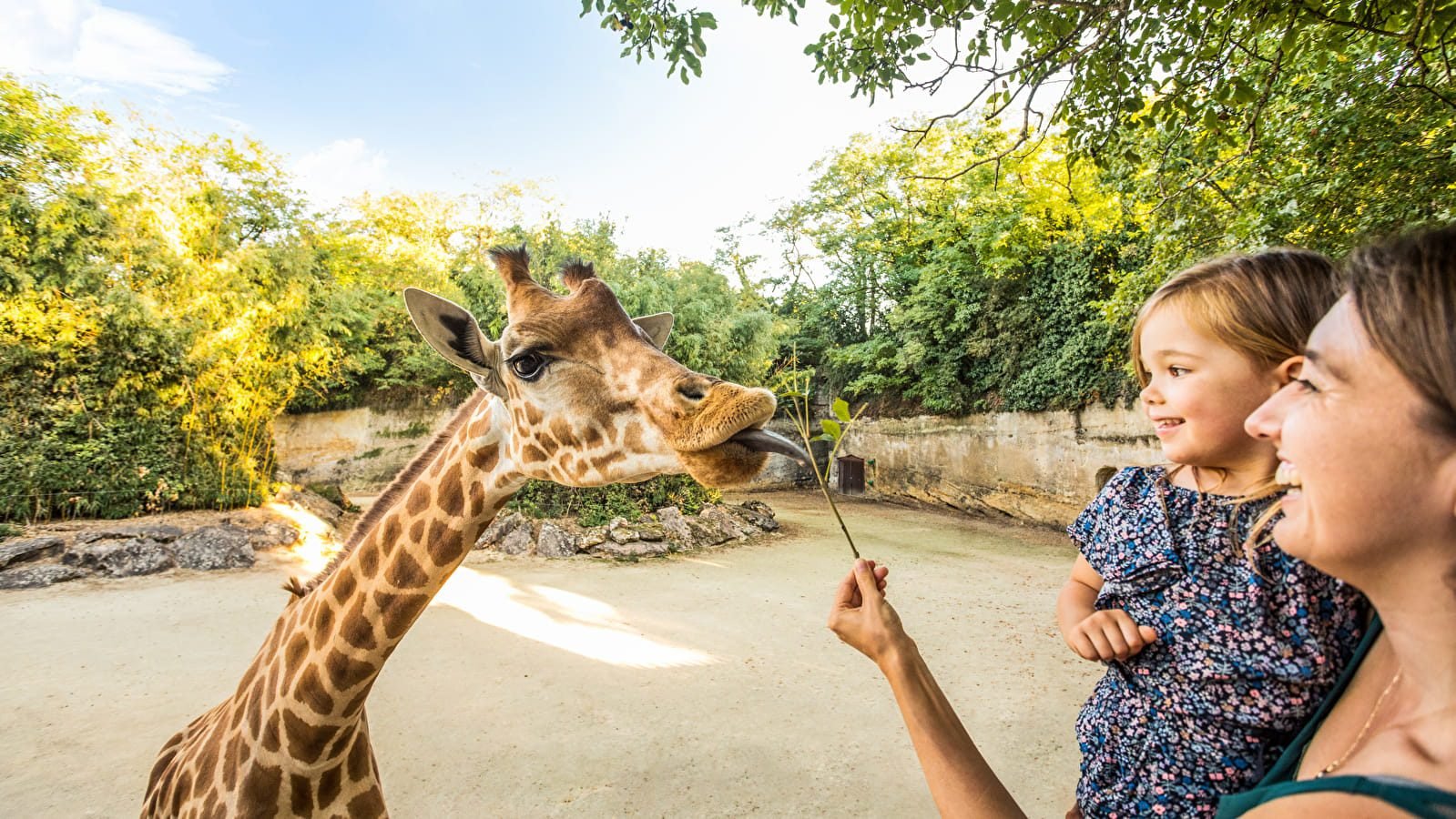 Bioparc Doué la Fontaine - La ronsardière Bouchemaine - Gite de la Ronsardière