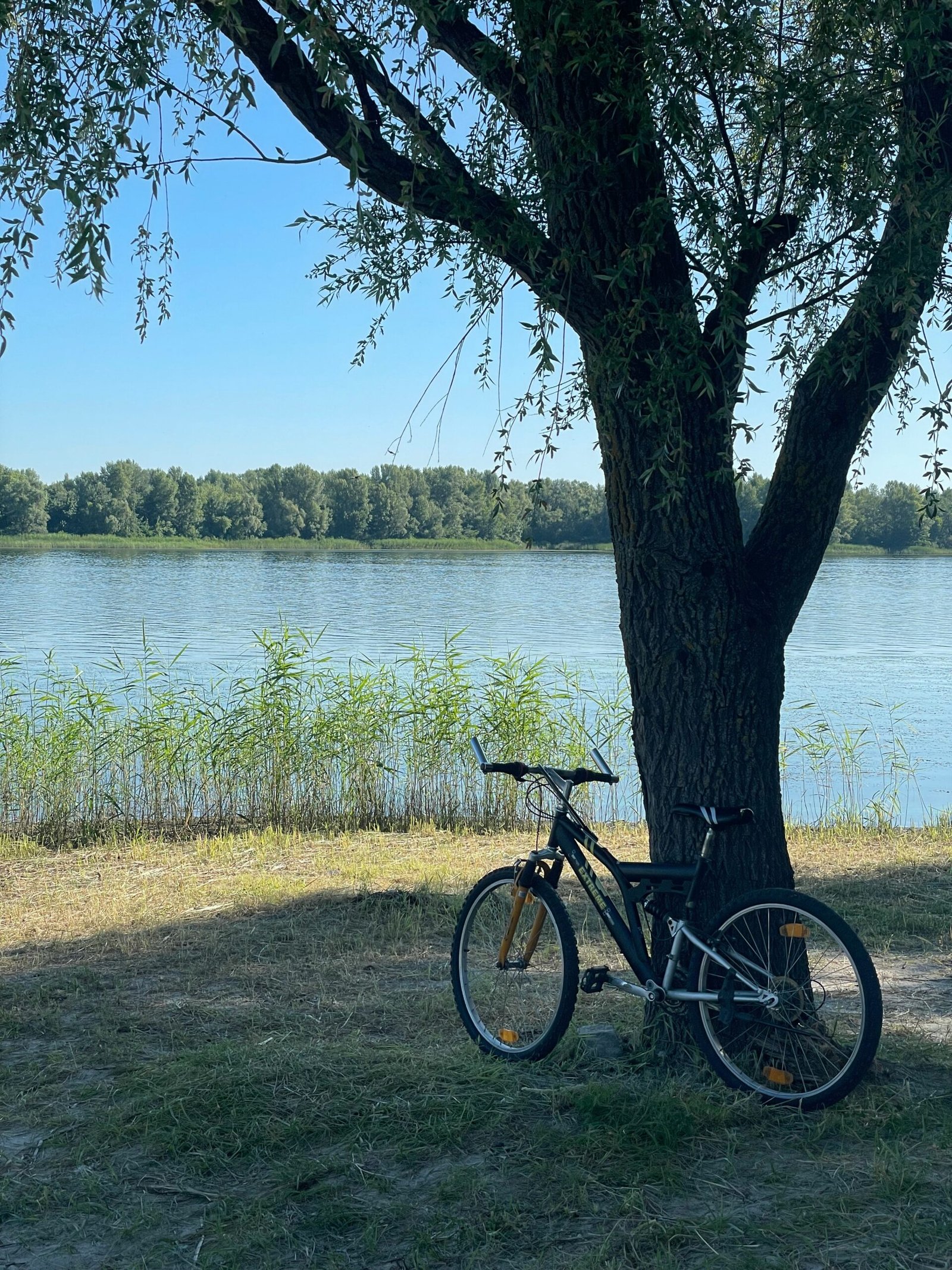 Loire attitude - vélo électrique - La ronsardière Bouchemaine - Gite de la Ronsardière